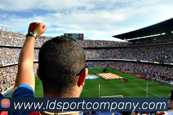 乐动足球APP 封面图