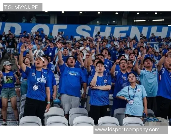 媒体人称泰山球迷频繁讨债无果或需肝移植引发热议